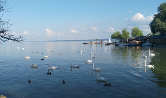 行業(yè)網(wǎng)站建設、北京網(wǎng)絡公司　旅游網(wǎng)站建設