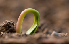 微信小程序、包裝制作小程序