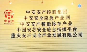 中安安產(chǎn)科技發(fā)展有限公司全景圖