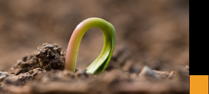 微信小程序、包裝制作小程序