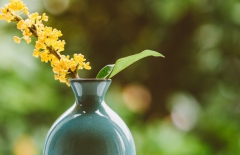 北京網(wǎng)站建設(shè)、北京網(wǎng)站建設(shè)公司、北京網(wǎng)絡(luò)公司