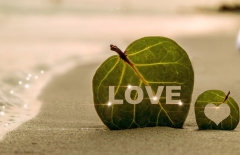 北京做網(wǎng)站公司、高端網(wǎng)站建設(shè)、高端品牌網(wǎng)站建設(shè)、北京網(wǎng)絡(luò)公司