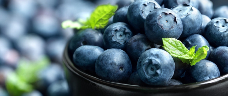 北京網(wǎng)站建設(shè)、北京網(wǎng)站建設(shè)公司、北京網(wǎng)站制作公司、北京專業(yè)網(wǎng)站建設(shè)公司、星誠視野、北京專業(yè)網(wǎng)站建設(shè)、北京網(wǎng)站建設(shè)公司、北京星誠視野網(wǎng)絡(luò)科技有限公司