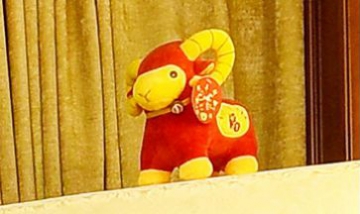 上海片舟數(shù)字科技發(fā)展有限公司全...