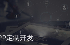 app開發(fā)、原生APP開發(fā)、app定制開發(fā)、APP開發(fā)公司 