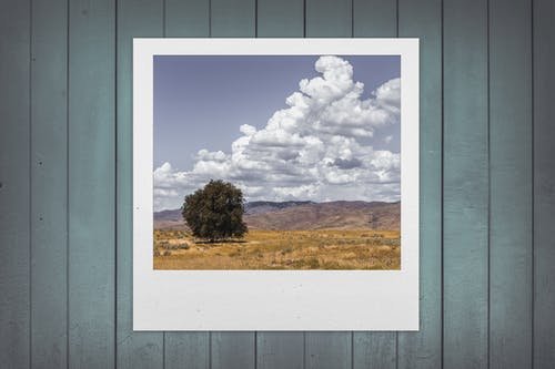 北京做網(wǎng)站、高端品牌網(wǎng)站建設(shè)、北京網(wǎng)頁設(shè)計公司、北京高端網(wǎng)站建設(shè)、教育類網(wǎng)站建設(shè)