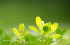 北京網(wǎng)站建設(shè)、北京網(wǎng)站建設(shè)公司、北京網(wǎng)站制作公司、北京網(wǎng)站制作、北京做網(wǎng)站