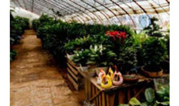 呼和浩特雨龍農(nóng)業(yè)設施設備有限公...