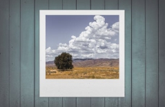 北京做網(wǎng)站、高端品牌網(wǎng)站建設(shè)、北京網(wǎng)頁設(shè)計(jì)公司、北京高端網(wǎng)站建設(shè)、教育類網(wǎng)站建設(shè)