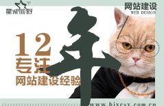 北京網(wǎng)站建設、北京網(wǎng)站制作公司、高端品牌網(wǎng)站建設、北京高端網(wǎng)站建設