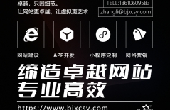網(wǎng)站空間、服務器、網(wǎng)站服務器、阿里云服務器