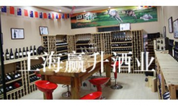 上海贏升實業(yè)有限公司全景圖